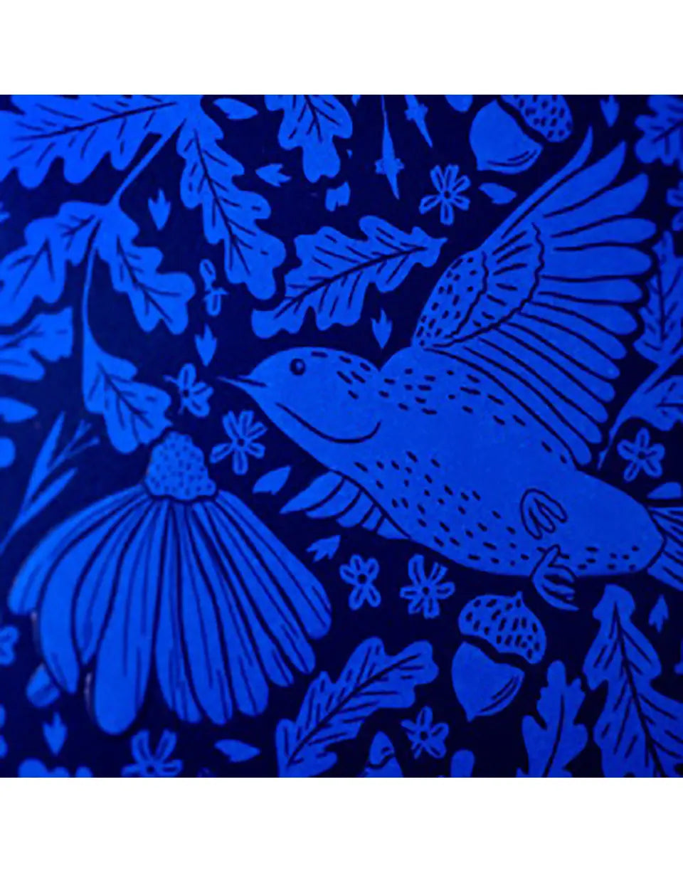 Redbreast Missouri Oak Cerulean Warbler